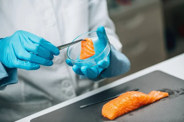 Gıda Güvenliği Kalite Kontrolü Laboratuvarda Somon Balıklarının Mikrobiyolojik Analizi — Stok fotoğraf
