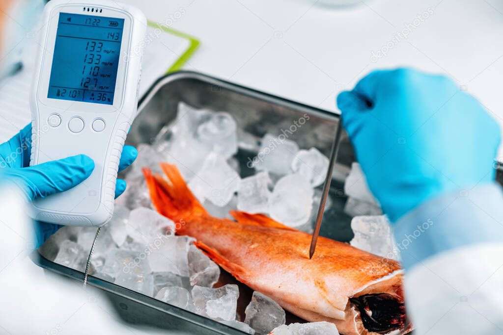 Food quality control inspection of sea fish - Measuring concentrations of heavy metals, searching for the presence of lead, mercury, cadmium.