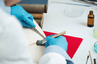 Antique book restoration. Book restorer repairing damaged pages in an antique book