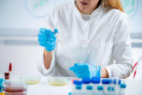 Microbiology Lab Technician Working Petri Dishes — Stockfoto