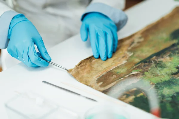 キャンバス上の損傷を修復する油絵の修復の専門家 — ストック写真