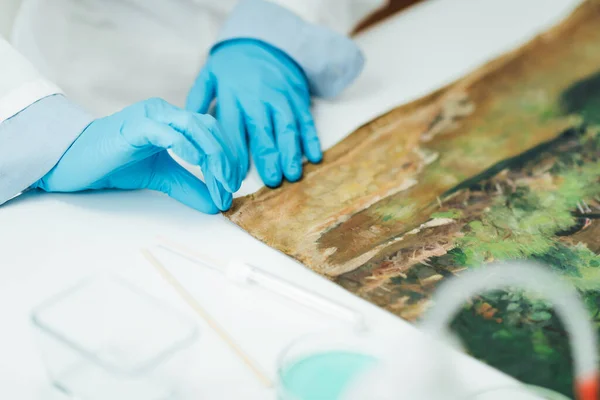 Λάδι Ζωγραφική Αποκατάσταση Εμπειρογνώμονας Επισκευή Βλάβη Στον Καμβά — Φωτογραφία Αρχείου