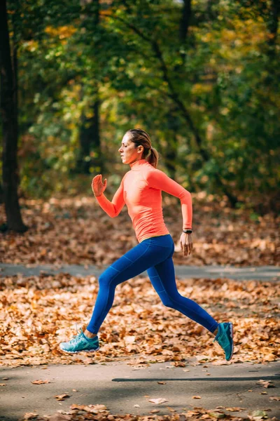 Jogging Féminin Nature Parc Extérieur — Photo