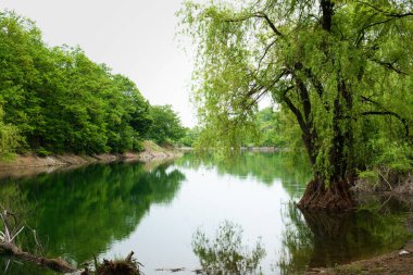 Doğu Sırbistan 'daki yapay dağ Bor Gölü (Borsko jezero) yağmurlu bir günde