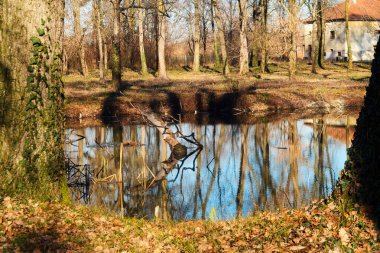 Sakin ve sakin doğa sahnesi - Vrsac, Voyvodina yakınlarındaki terk edilmiş eski şatonun parkında huzur dolu bir göl ve ağaç yansıması