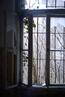 Karanlıkta ışık - Terk edilmiş korkunç malikanenin penceresinden bahçe manzarası