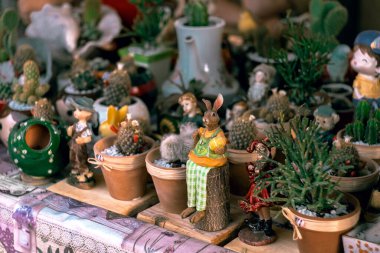 Doğadaki güzellik - küçük Japon bahçeleri için alışılmadık süslemeli saksılarda sulu bitkiler