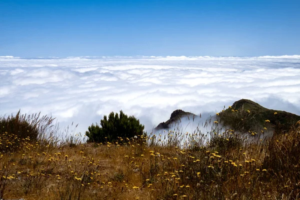 En yüksek Madeira dağının muhteşem manzarası ve şafak vakti bulutlar