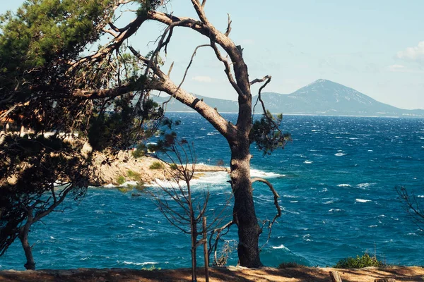 Stormy Sea Croatia Islands Kvarner Bay Adriatic Sea — Zdjęcie stockowe