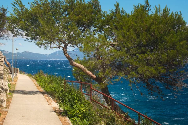 Promenade Path Trekking Trail Mediterranean Village Veli Loinj Croatia Islands — Stock Fotó