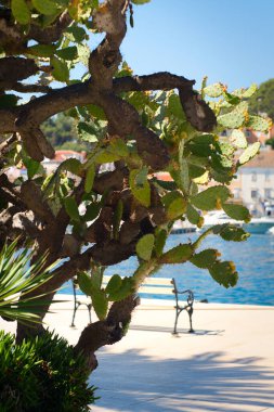 Idyllic beach holiday in Kvarner bay on Croatia islands Cres and Loinj