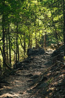 Extreme and dangerous mountain forest trekking trail from historic village Lubenice on Croatia island Cres to remote beach Sveti Stefan in Kvarner Bay