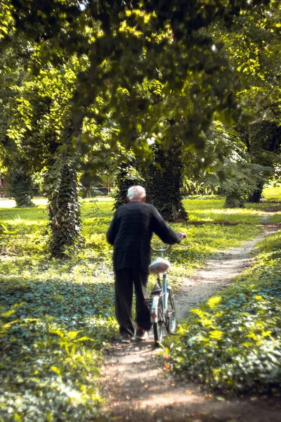 Güneşli bir günde, Voyvodina 'daki eski evlerin romantik parkında aydınlık bir sonbahar.