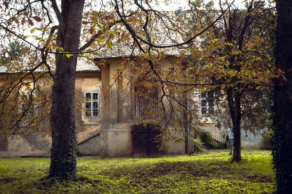 Casa Velha Histórica Parque Outono Kulpin Sérvia — Fotografia de Stock