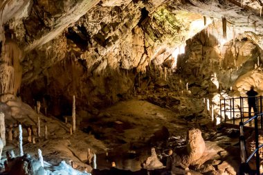 Slovenya 'nın en büyük mağara sistemlerinden biri olan Postojna mağarası dikitleri ve sarkıtları