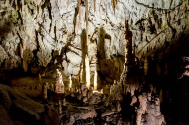 Slovenya 'nın en büyük mağara sistemlerinden biri olan Postojna mağarası dikitleri ve sarkıtları