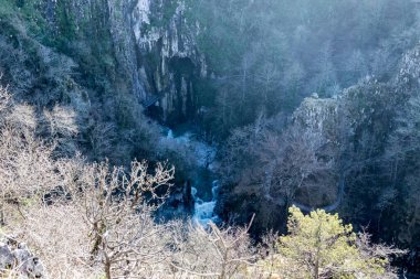 Slovenya 'daki Skocjan Mağaraları dünyanın en büyük yeraltı kanyonudur. Reka Nehri 'nin yeraltı akıntısıyla birlikte Avrupa' nın en uzun karst yeraltı sulak alanlarından biridir..