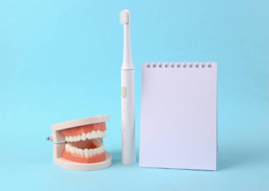 Beyaz dişli insan çenesi modeli ve ultrasonik diş fırçası ve mavi arka planda not defteri. Diş sağlığı konsepti