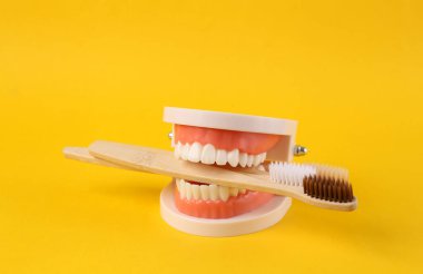 Sarı arka planda eko diş fırçası olan insan çenesi modeli. Diş sağlığı konsepti