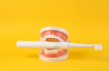 Beyaz dişli insan çene modeli ve sarı arka planda ultrasonik diş fırçası. Diş sağlığı konsepti
