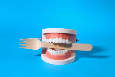 Human jaw model with wooden fork in teeth on blue background