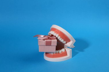 Gift box in teeth of jaw model. Blue bright background. Minimal concept