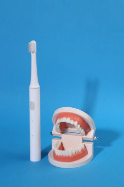 Model of human jaw with white teeth and ultrasonic toothbrush on blue bright background. Dental care concept
