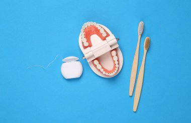 Diş bakımı konsepti. Beyaz dişli çene modeli, ahşap diş fırçası ve mavi arka planda diş ipi. Üst Manzara. Düz yatıyordu