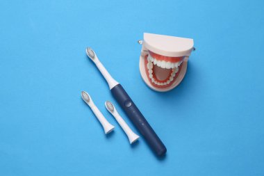 Beyaz dişli çene modeli ve mavi arka planda ultrasonik diş fırçası. Diş bakımı. Üst Manzara. Düz yatıyordu