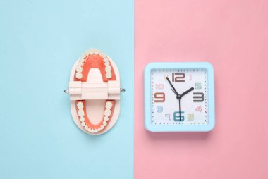 Pembe mavi pastel arka planda saat ile insan çenesi modeli. Yaratıcı düz yatak