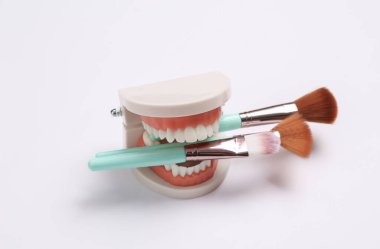 Çene modelinin dişlerindeki makyaj fırçaları. Beyaz arka plan. Güzellik konsepti çok az. Yaratıcı yerleşim