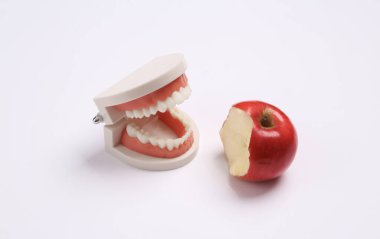 Beyaz arka planda ısırılmış kırmızı elma ile insan çene modeli