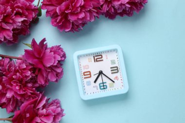 Mavi arkaplanlı pembe şakayıklar. Üst Manzara. Düz yatıyordu