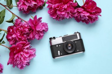 Mavi arka planda kamera olan pembe şakayıklar. Üst Manzara. Düz yatıyordu