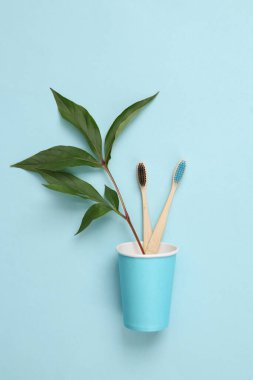 Doğal diş bakımı. Fincanda diş fırçası ve mavi arka planda yeşil yapraklı dal