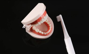 Siyah arka planda diş fırçası olan insan çene modeli. Diş sağlığı konsepti