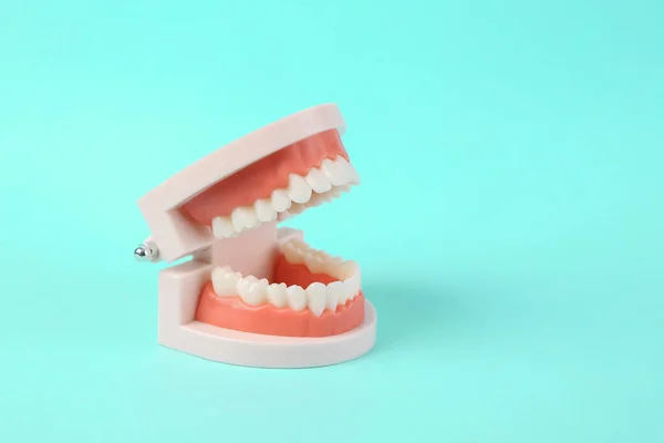 Modell Des Menschlichen Kiefers Mit Weißen Zähnen Auf Blauem Hintergrund — Stockfoto