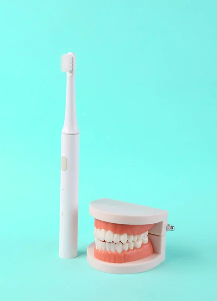 Model Human Jaw White Teeth Ultrasonic Toothbrush Blue Background Dental — Stock Photo, Image