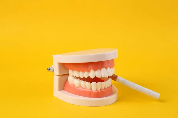 悪い習慣 黄色の背景にタバコと人間の顎モデル — ストック写真