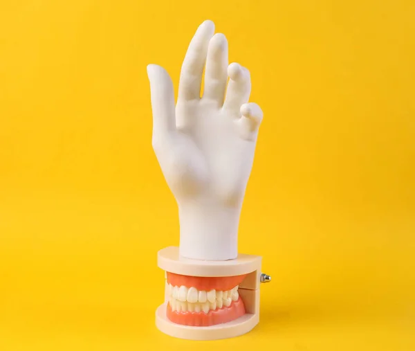 Model Human Jaw White Teeth White Hand Yellow Background Minimal — Stock Photo, Image