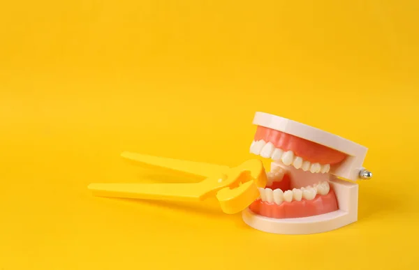 Spielzeugzange Zieht Zahn Aus Menschlichem Plastik Kiefer Modell Auf Gelbem — Stockfoto