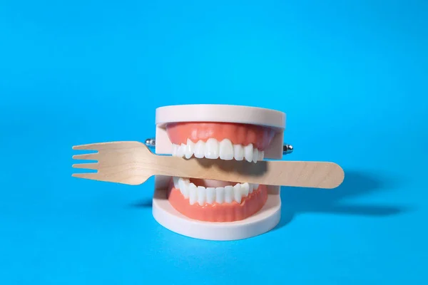 Human Jaw Model Wooden Fork Teeth Blue Background — стоковое фото