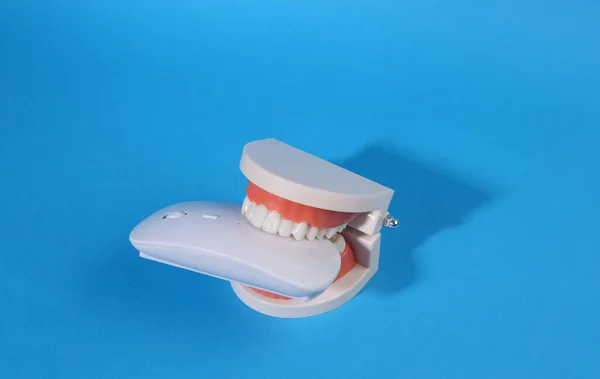 Ratón Los Dientes Del Modelo Mandíbula Fondo Azul Brillante Concepto —  Fotos de Stock