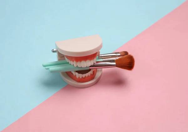 Makeup Brushes Teeth Jaw Model Blue Pink Pastel Background Beauty — Stock Photo, Image