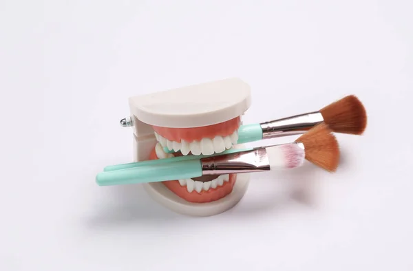 Makeup Brushes Teeth Jaw Model White Background Beauty Minimal Concept — Stock Photo, Image