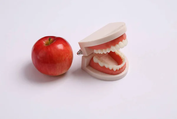 Modelo Mandíbula Humana Con Manzana Roja Sobre Fondo Blanco —  Fotos de Stock