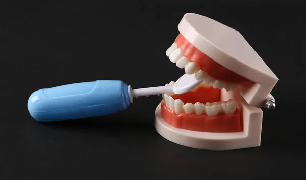 Wizyta Dentysty Model Szczęki Lustrem Dentystycznym Czarnym Tle — Zdjęcie stockowe