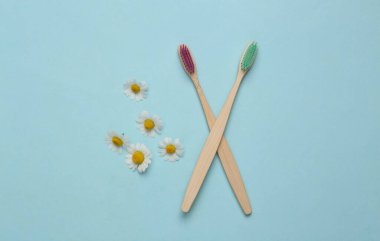Mavi arka planda papatyalı diş fırçaları. Ağız temizliği.
