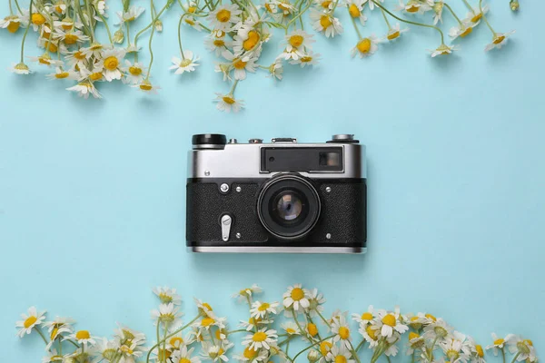 Mavi arka planda papatya çiçekli Retro kamera