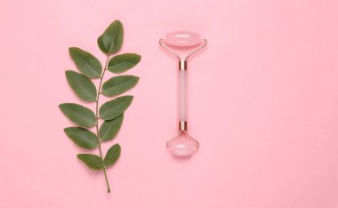 Pembe arka planda yeşil yapraklı yüz masajcısı. Üst görünüm